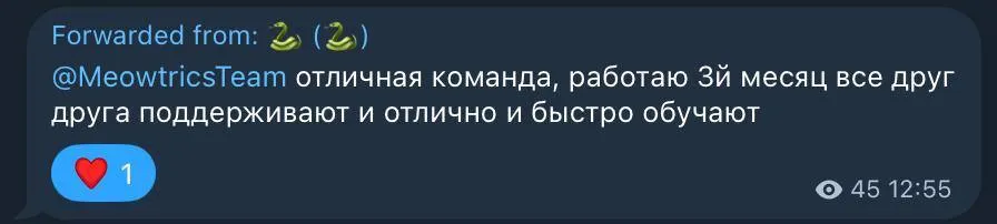 Чек чатера 4